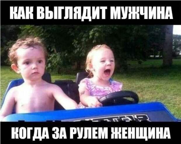 Весёлые картинки