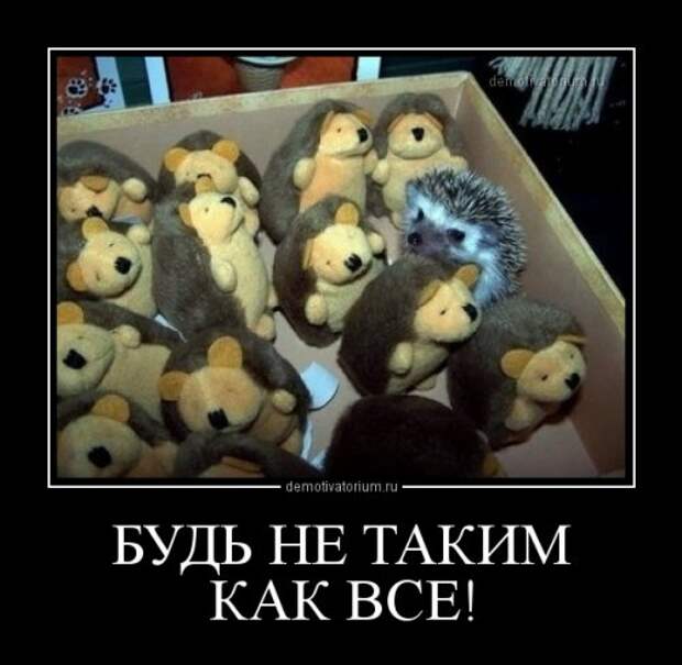 Новая порция прикольных демотиваторов (13 шт)