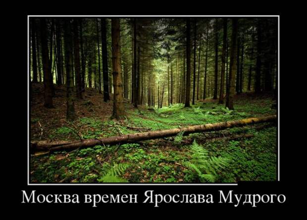 Веселые демотиваторы для улыбок (11 фото) Веселые демотиваторы для улыбок (11 фото)
