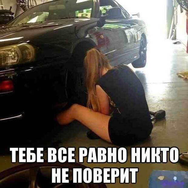 Забавные автоприколы Забавные автоприколы