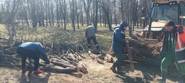 Ураган снес 53 дерева в Петербурге за сутки