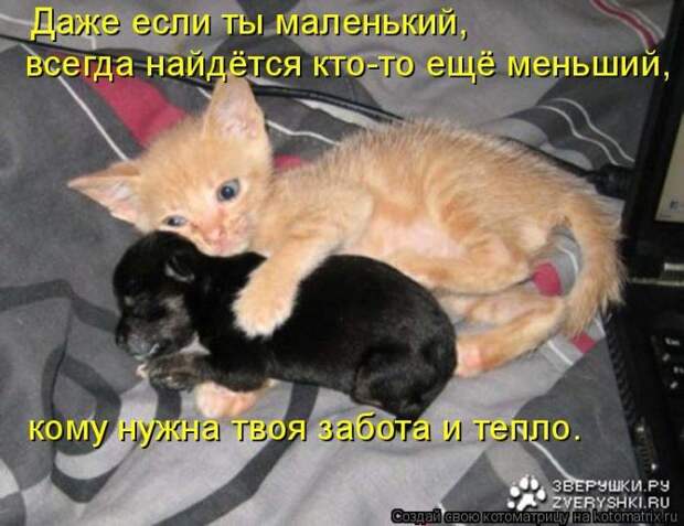 Мысли вслух :)