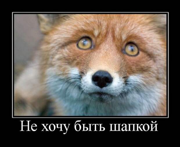 Демотиваторы (30 фото)