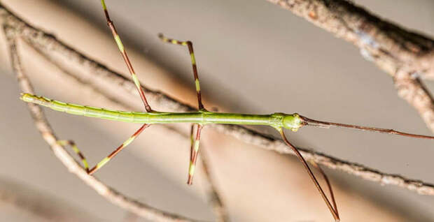 0383988f2aaa6e3ec301625abea963fd