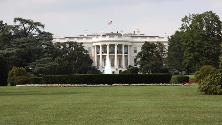 Отрицание горя: почему ЦРУ и СМИ США выступают против Трампа
