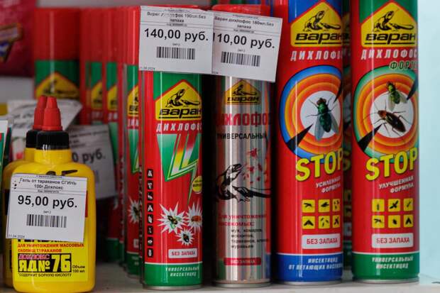 Красноярский Роспотребнадзор дал советы по борьбе с тараканами