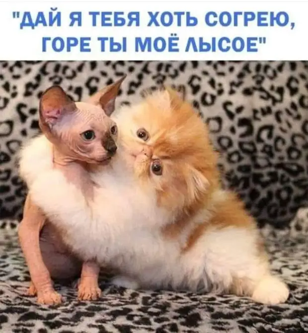 Если вам уже за тридцать и вы абсолютно ничего не добились в этой жизни — значит, вы честный и порядочный человек Если вам уже за тридцать и вы абсолютно ничего не добились в этой жизни — значит, вы честный и порядочный человек возьмут, Какой, самолёт, родился, слишком, каком, показывай, давай, даютНу, десять, Врешь, Двадцать, камере, тюремной, высокоВ, желудок, метит, особеннаяОбъявление, через, лежит