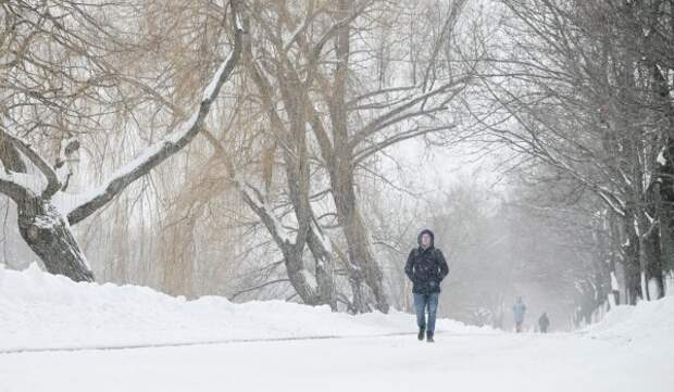 Облачная погода и до 6 градусов мороза ожидаются в Москве 27 января