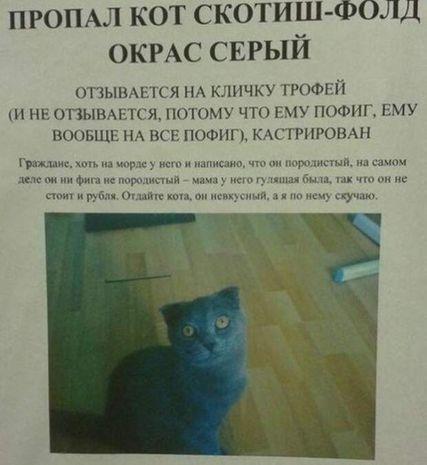 Очередная подборка смешных надписей и объявлений