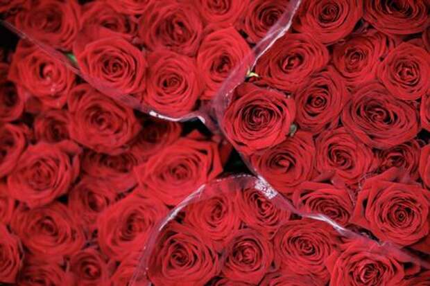 20 тысяч роз за 600 тысяч: краснодарский таксист покорил сердце 16-летней москвички