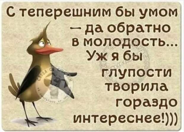 Истории и шутки для настроения