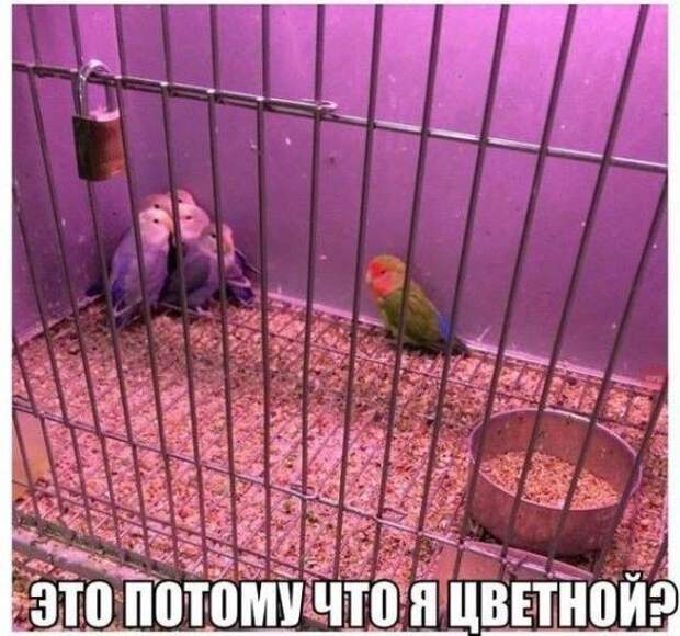 Фотоприколы и позитив