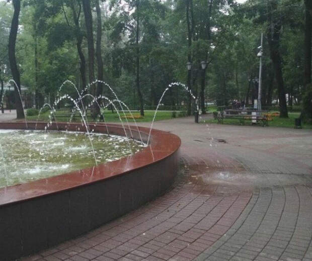 Вот проказник! Вот проказник!