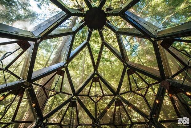 Удивительный домик на дереве от американского дизайнера
