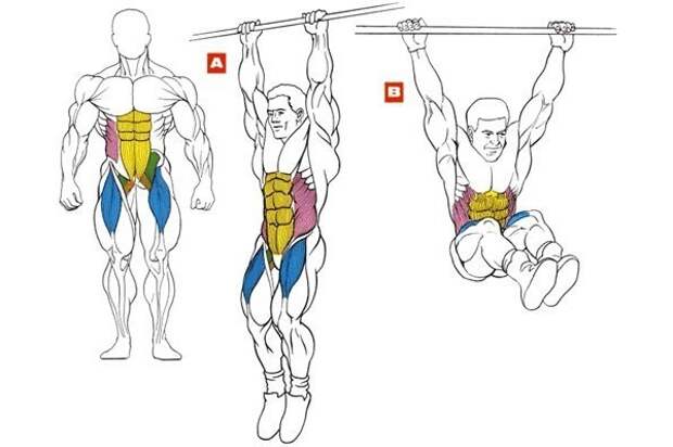 Рабочие мышцы при подъёме ног в висе