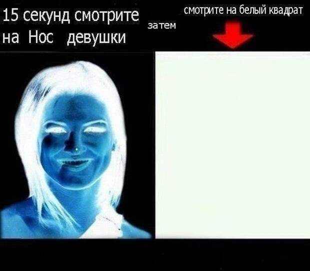 Сборка № 162