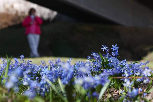 Россиянам рассказали о погоде в майские праздники