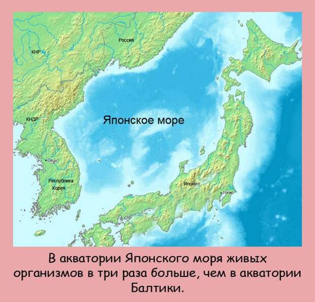 Интересные факты в картинках (20 фото) Интересные факты в картинках (20 фото)