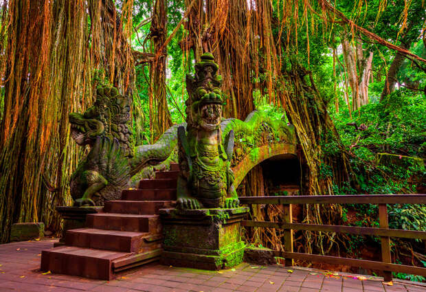 Лес обезьян, Бали