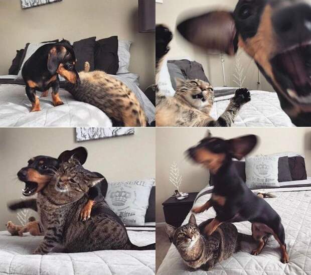 Лучше не вызывать стриптизера на новый год, а то он такое отморозит!