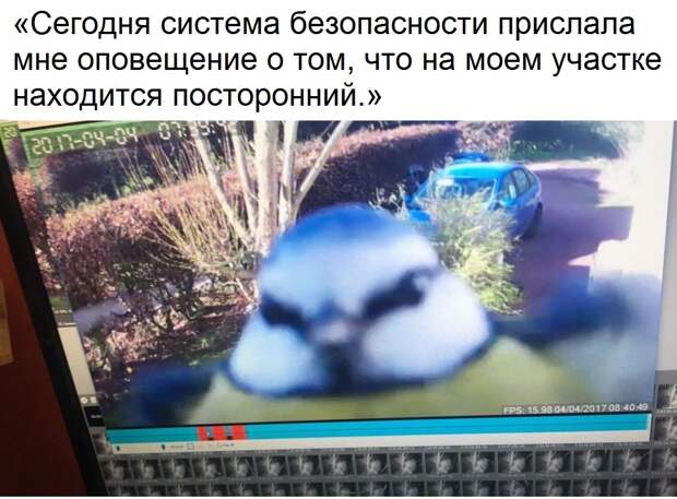 Эмоциональные картинки с надписями со смыслом (11 фото) Эмоциональные картинки с надписями со смыслом (11 фото)