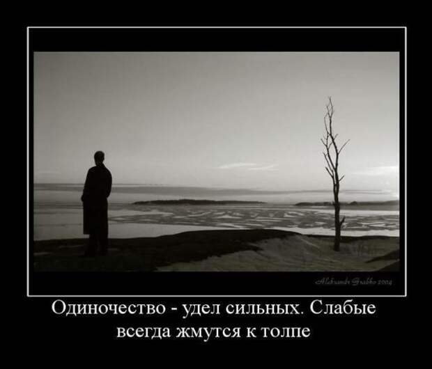 Демотиваторы (30 фото)