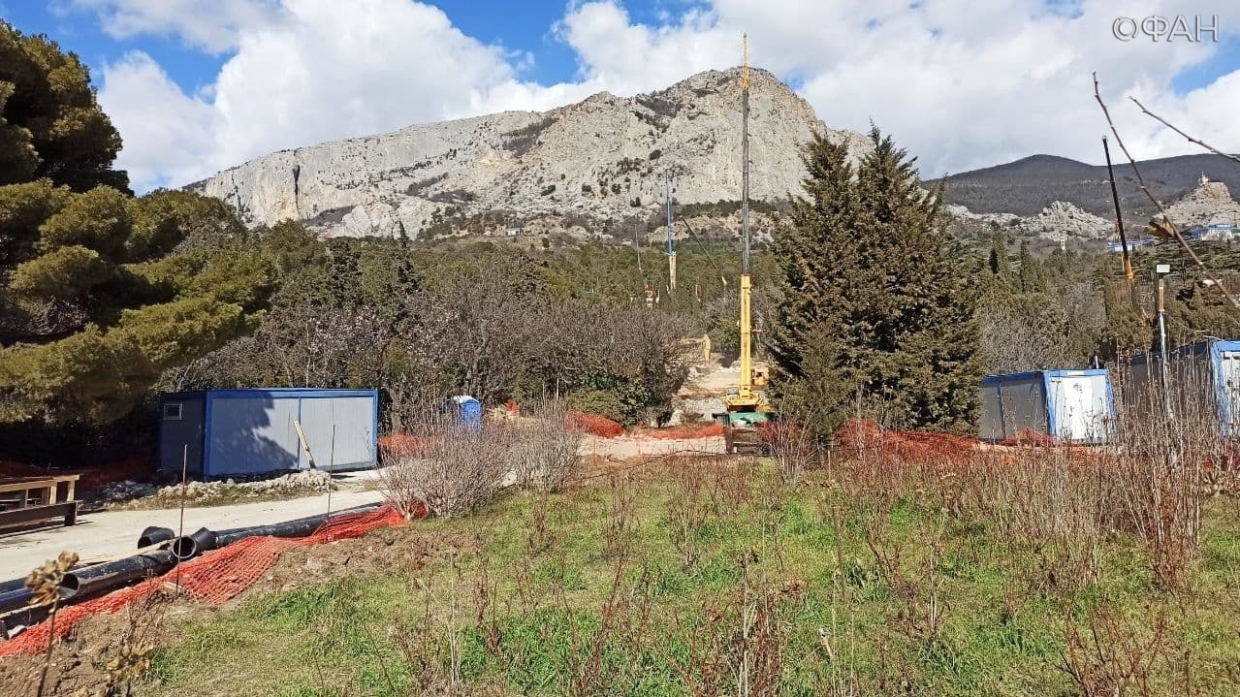 Снос деревьев в Форосском парке Крыма тщательно проверили специалисты НБС