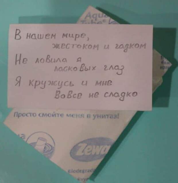 204724_9_trinixy_ru.jpg