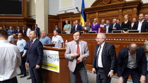 Удивительные твари Порошенко: Савченко связала атаки Донбасса с беспорядками в Раде