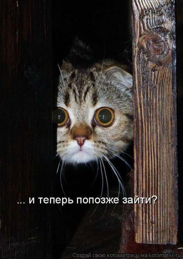 Мысли вслух :)