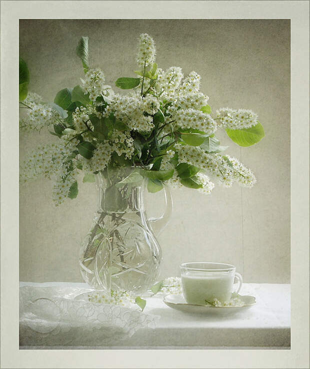 Ceremuxa22 (588x700, 139Kb)