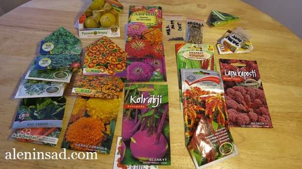 аленин сад, семена, сорта бархатцев, цинии, амаранта, капусты, тыквы, мангольда, чабера для посева в апреле