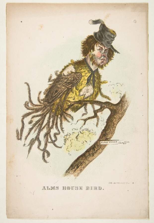natural-history-of-the-human-race-alms-house-bird-768x1114.jpg natural-history-of-the-human-race-alms-house-bird-768x1114.jpg