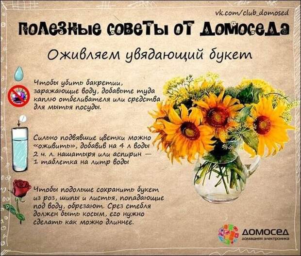 Полезные советы по дому (19 фото)