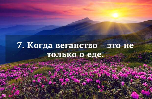 Экологичная кухня: Сплошные листья салата. 7 популярных заблуждений о веганах