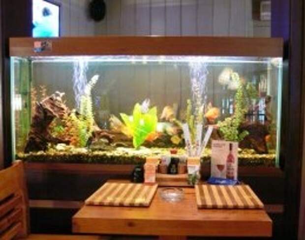 Изготовление и оформление аквариумов 