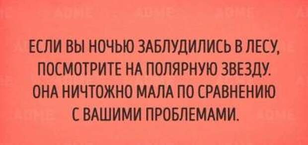 Минутка юмора: смешные открытки для поднятия настроения
