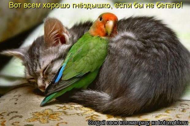 Мысли вслух :)