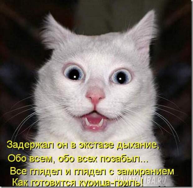 9c69f713c9b2283ef0a9cb0a663_prev