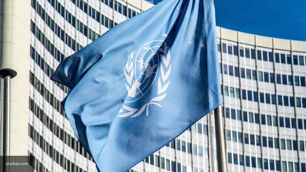 Гендиректор МОМ выразил соболезнования в связи с гибелью сотрудников ООН в Эфиопии