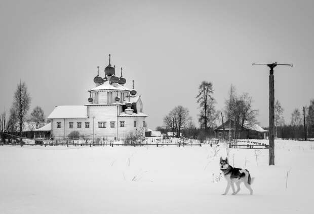 Исчезающие деревянные церкви Русского Севера (ФОТО)