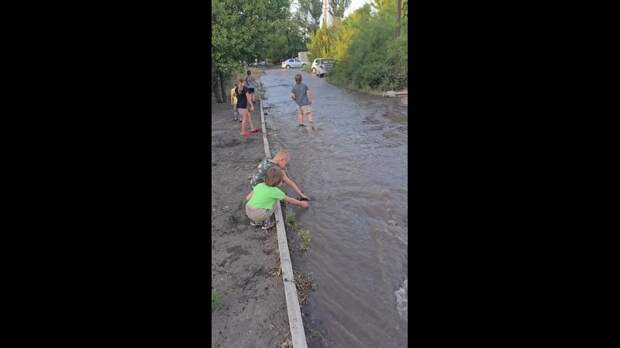 Video: Клип @donetskdnr_vk