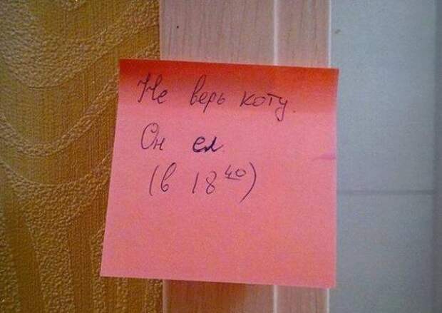 Очень низко над землей летел беспилотник. За ним, отчаянно матерясь, бежал пилот…