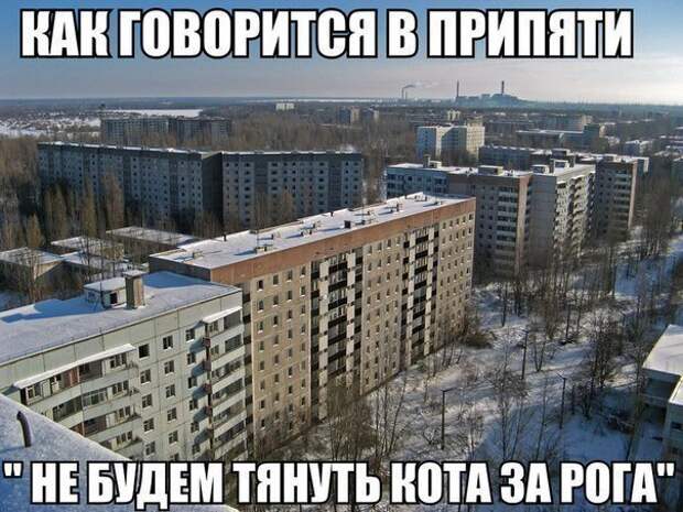 Новая партия искрометных приколов для надрыва животов Новая партия искрометных приколов для надрыва животов