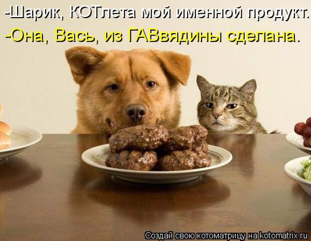 Котоматрица: -Она, Вась, из ГАВвядины сделана. -Шарик, КОТлета мой именной продукт..