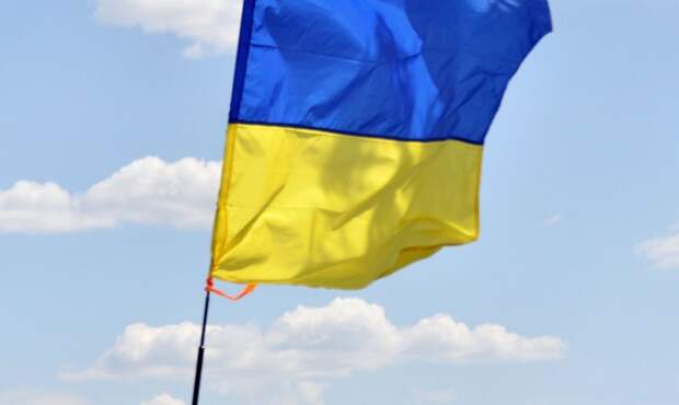 Досрочные выборы в Раду: каким будет новый парламент Украины?