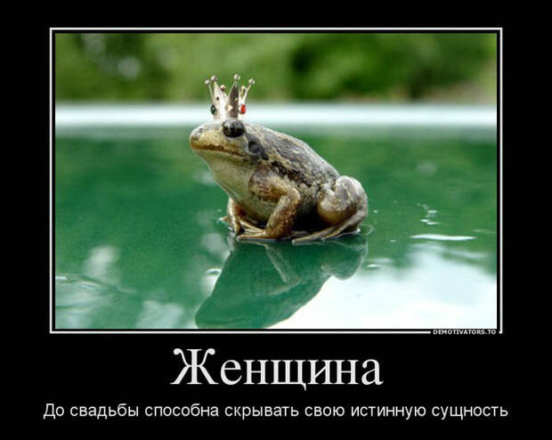 Демотиваторы и мотиваторы. Демотиваторы и веселые картинки_18-04-2013