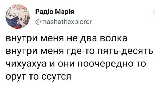 Подборка забавных твитов