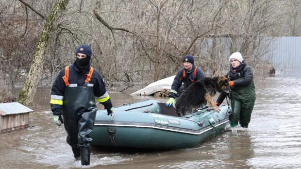 Весна не спасет: теплое время года грозит Украине еще более серьезными проблемами