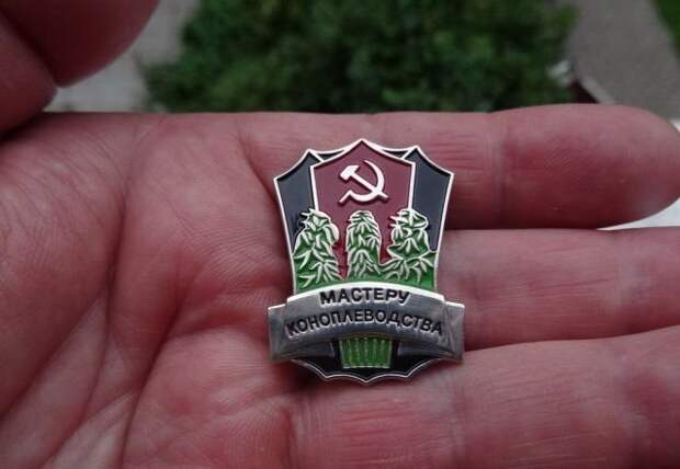 Работа бывает разная!